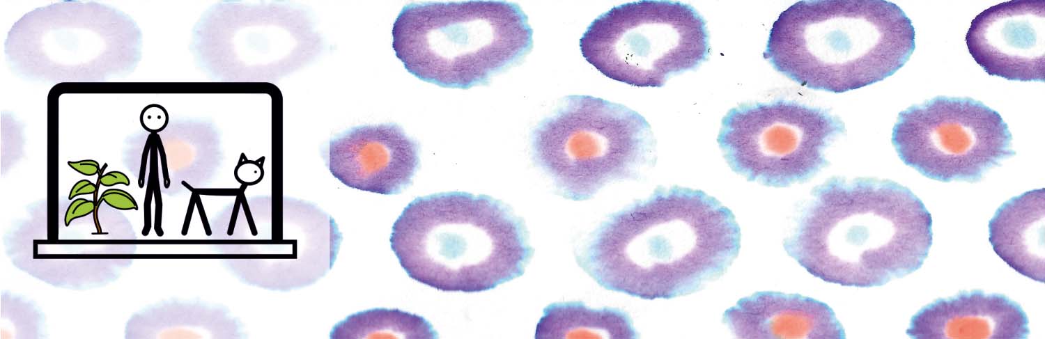 Ciencias Naturales 4º